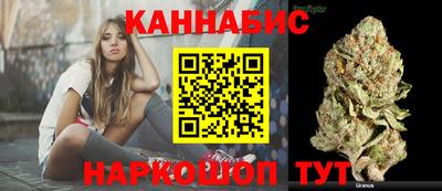 гашик Аргун