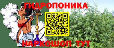шишки Апшеронск
