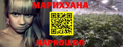 мяу мяу мука Аргун