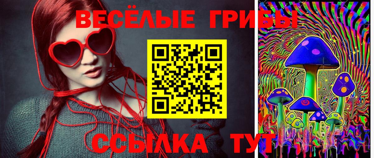 купить наркоту  Галлюциногенные грибы MAGIC MUSHROOMS  Вход с VPN  Галлюциногенные грибы мицелий  Белая Калитва 